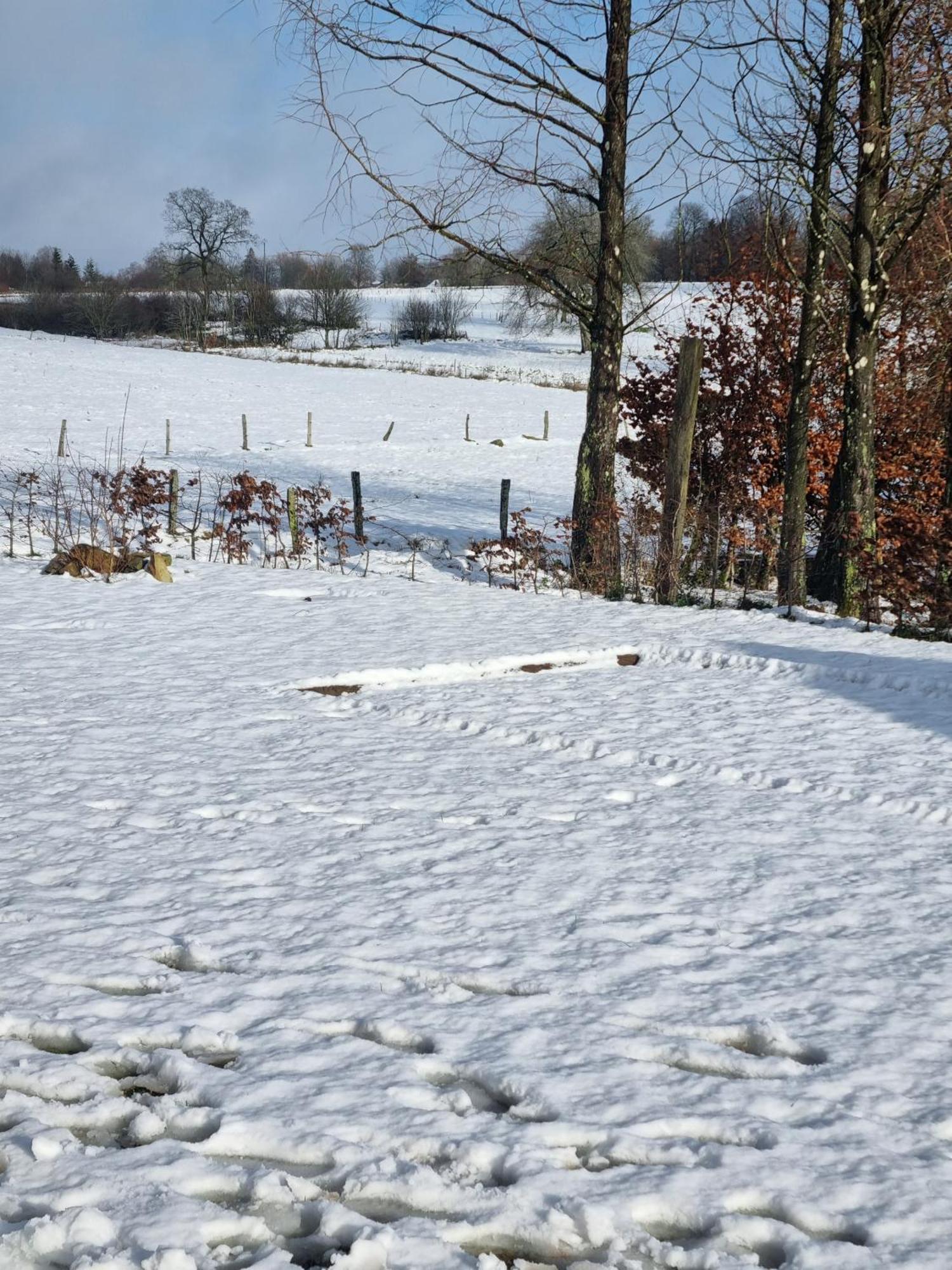 Gite Les 3 Pierres Houffalize Dış mekan fotoğraf